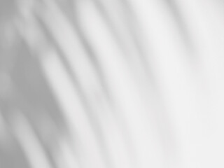 abstract shadow of palm leaves on white concrete wall