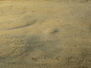 dirt ground with wheel track texture