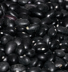 Textura de frijoles