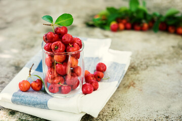 cherry fruit,  fresh cherries