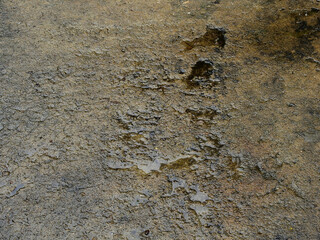 texture of wet floor after rain