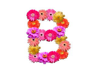 Font made from flowers. Arrangement flowers into letter. floral lettering on a white background. Font flower or letter flower.