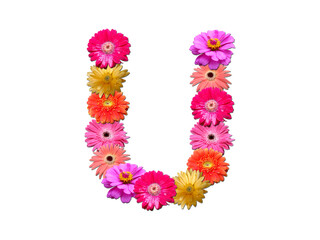 Font made from flowers. Arrangement flowers into letter. floral lettering on a white background. Font flower or letter flower.
