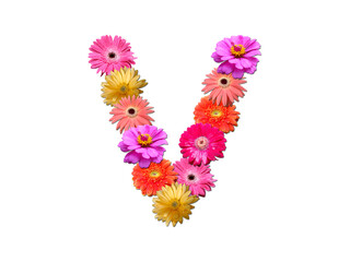 Font made from flowers. Arrangement flowers into letter. floral lettering on a white background. Font flower or letter flower.