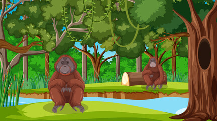 Orangutan in forest or rainforest scene with many trees