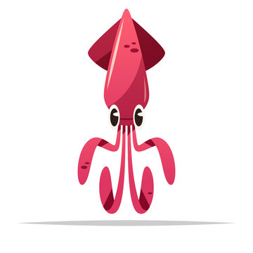 Cartoon squid vector isolated illustration