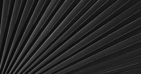 black palm leaf with line pattern, dark background