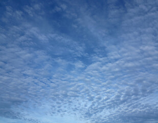 blue sky with cloudy in the morning