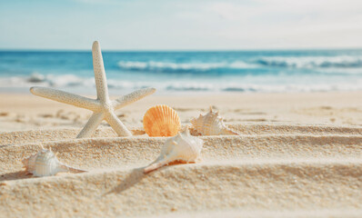 Fototapeta na wymiar Summer sea background concept, White starfish, scallops, and spiny shells, rest on the white sand beach, near the beautiful sea, on a sunny day, in Thailand's tourist season.