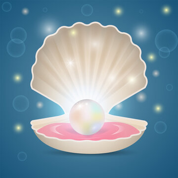 Open bivalve seashell with beautiful pearl. Vector illustration