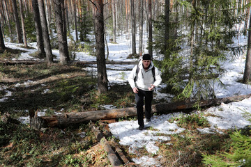 Fototapeta premium A man is a tourist in a pine forest with a backpack. A hiking trip through the forest. Pine reserve for tourist walks. A young man a hike in the spring.