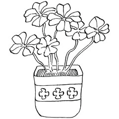 Home Plant in pots sketch. Outline drawing isolated  illustration of growing flowers in a hanging plant for interior home or office decoration. Vector of garden flowers.
