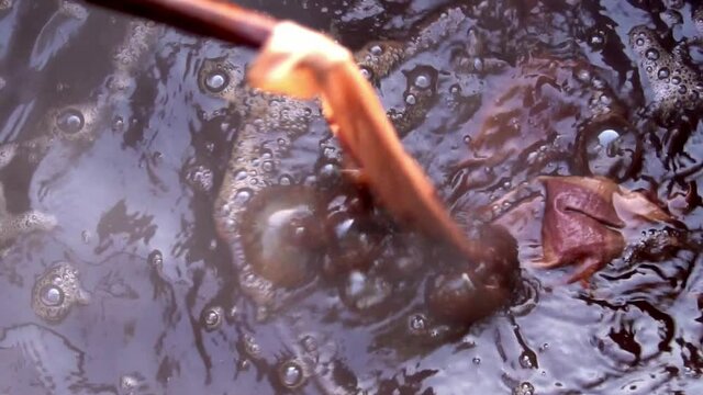 Bubbles Form On Water Surface During Dyeing Textiles With Organic Red Madder Dye
