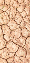 picture of dry land, cracked soil