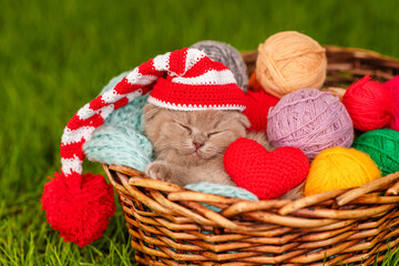 A small fluffy kitten sleeps in a basket with balls of wool in a striped cap next to a plush red heart