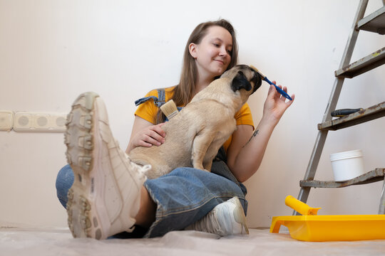 Happy woman playing on floor with pet dog in her new house during renovation, construction tools and ladder on the background. Independent single female life with pet.