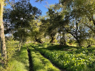 on the farm with nature