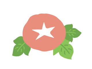 かわいい夏の朝顔／手書きイラスト