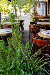 container plants in the restaurant