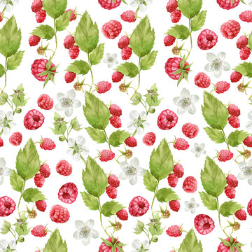 Seamless watercolor pattern with raspberries in green and red for backgrounds, prints and textiles