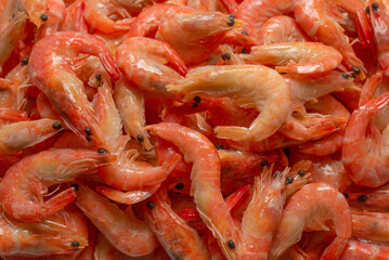 Shrimps background texture. A lot of shrimps. Cooked shrimps.