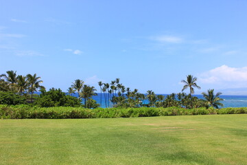 ハワイ島（ビッグアイランド）、青い海、青い空、白い雲。そしてヤシの木。