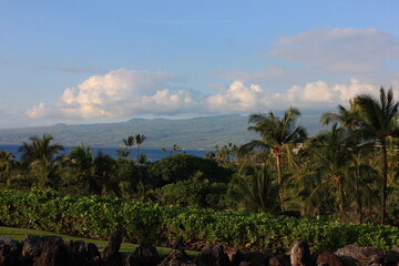 Fototapeta na wymiar ハワイ島（ビッグアイランド）。緑の草に覆われた溶岩の大地と海に太陽の光が降り注ぐ。