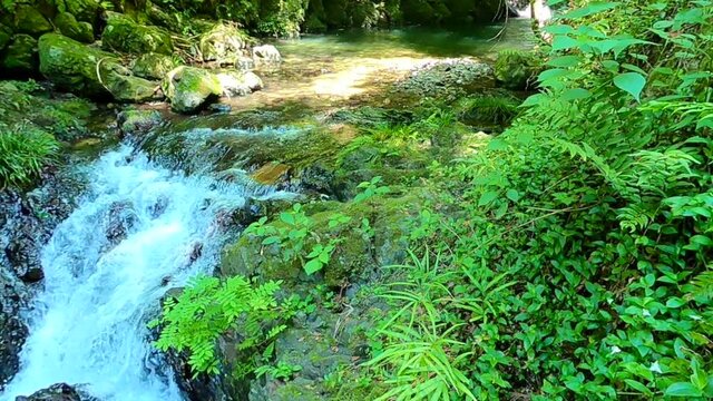 大阪　箕面川の大滝