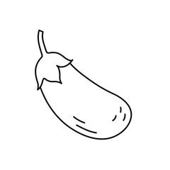 Eggplant. Vegetable sketch. Thin simple outline icon. Black contour line vector. Doodle hand drawn illustration
