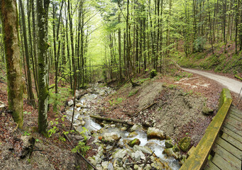 Kleine Wanderung bei Marquardstein