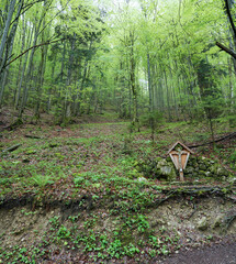 Kleine Wanderung bei Marquardstein