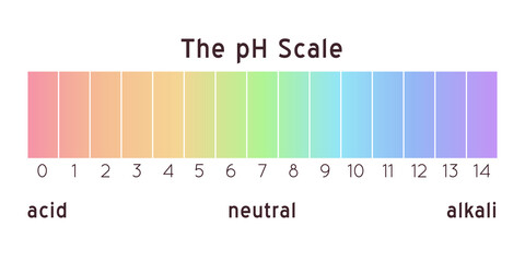 Fototapeta premium pH scale diagram. Vector rainbow illustration
