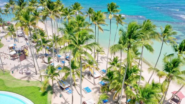Aerial View Of Lounge Chairs Under Palm Trees By The Beach In Summer At Juan Dolio In Dominican Republic.
