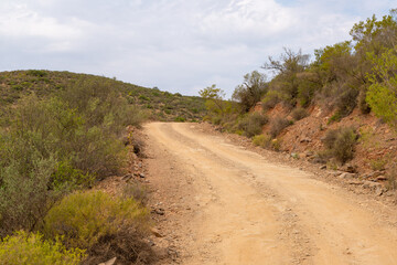 Section of the Gifberg Mountain Passe close to Van Rhynsdorp in the Western Cape of South Africa