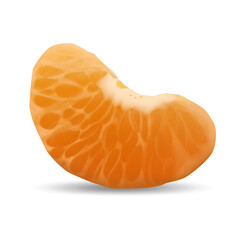 Realistic vector mandarin slice. Close-up illustration of tangerine isolated on white background