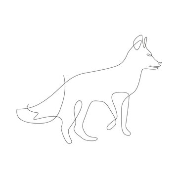 Fox simple illustration. One line graphic. continuous line minimalistic vector. Fox Line art, wild animals.