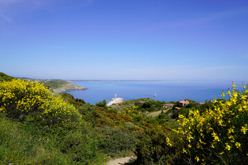vermeille coast in south sea beach Pyrenees Orientales in Languedoc-Roussillon France