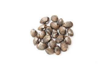 Cockles cockles seafood on white background.