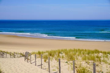 Foto op Plexiglas toegang tot het strand tot zee in zandduinen en omheining van de golven van de atlantische oceaan aan de kust van le porge in frankrijk © OceanProd