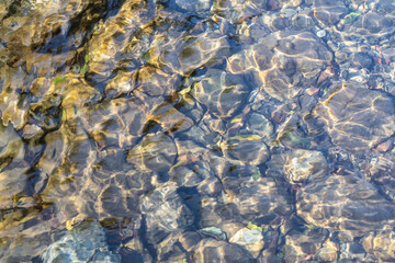 コースティクス