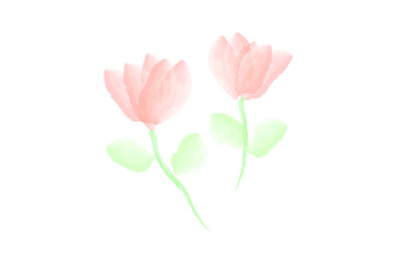 beautiful pink flower watercolor. floral watercolor.