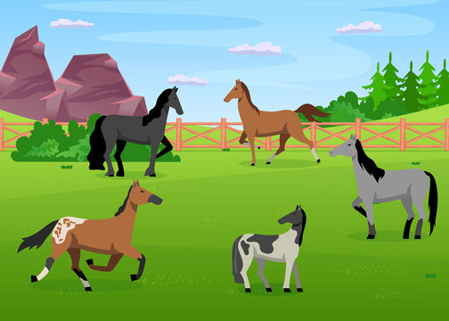 Herd of horses grazing in paddock. Cartoon vector illustration. Strong beautiful animals walking and running on ranch. Animal, cattle breeding, ranch, nature, concept for banner design, landing page