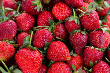 background from freshly harvested strawberries, directly above