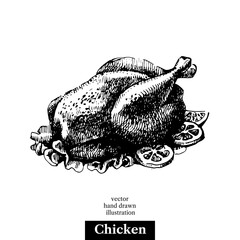 Chicken. Vintage fast food hand drawn sketch illustration. Isolated background. Menu design
