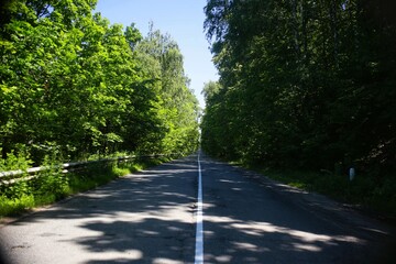 road in the forest