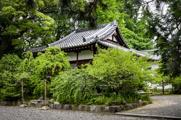 サツキの寺、雲迎寺周辺の情景