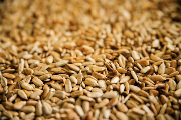Background of fried peeled sunflower seeds. The texture of small grains. Harvest of seeds.