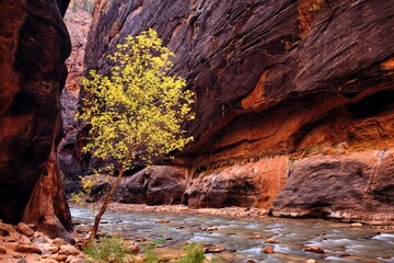 Wonderful place in Arizona, Utah, Nevada, California