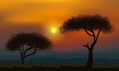 African acacia trees on the background of the golden sunset.