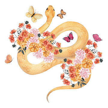 Watercolor illustration with snake and floral composition, isolated on white background